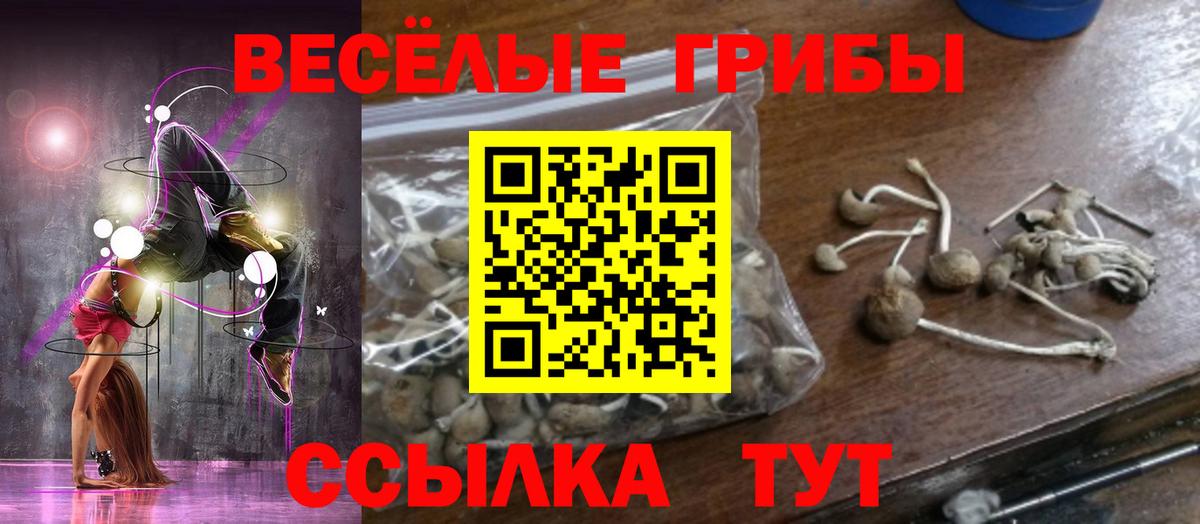 Коркино  Псилоцибиновые грибы Psilocybine cubensis  Вход с VPN 