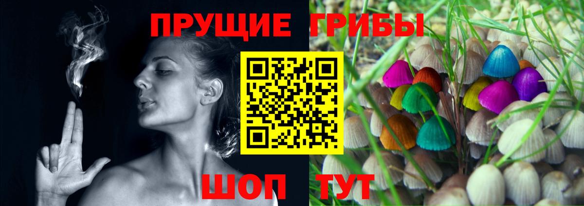 Галлюциногенные грибы Cubensis Коркино